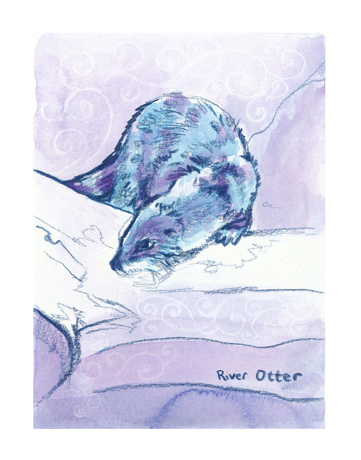 River Otter Zooly 2019 Drawing