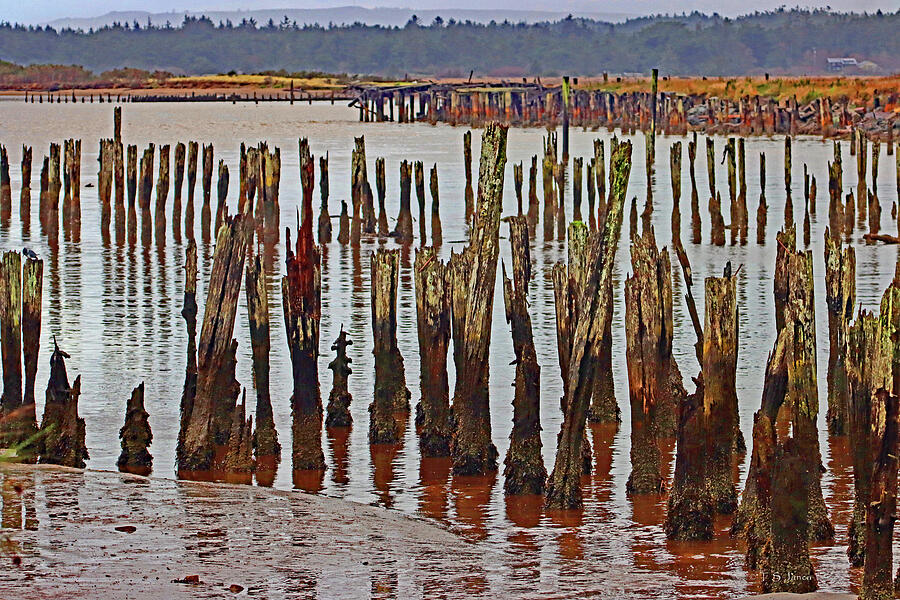 River Pilings In The Sunshine Digital Art by Tom Janca River Pilings In The Sunshine Digital Art by Tom Janca