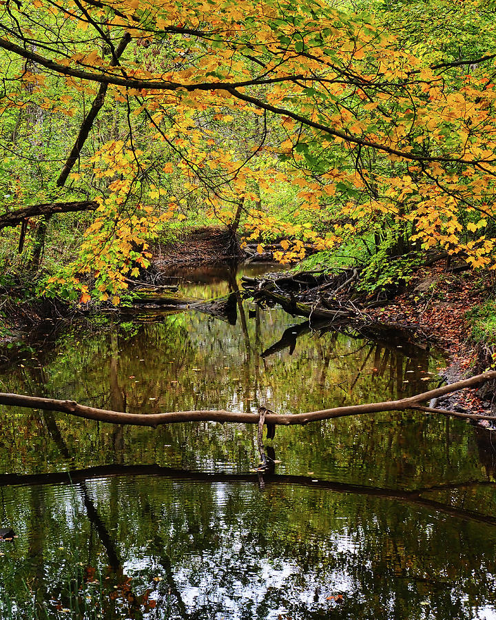 River Reflections I Photograph by Scott Olsen