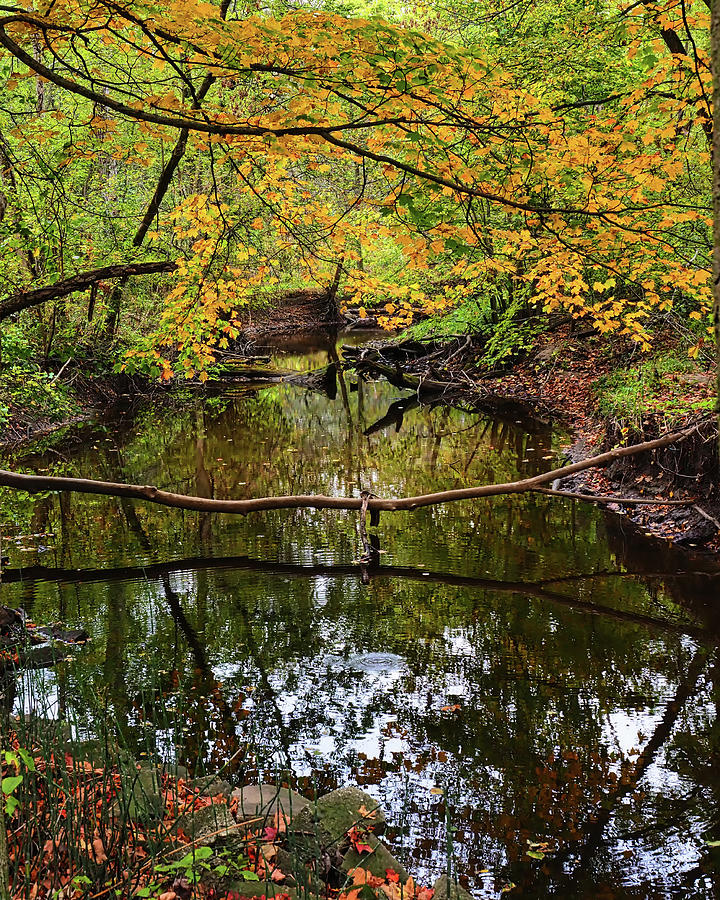 River Reflections II Photograph by Scott Olsen