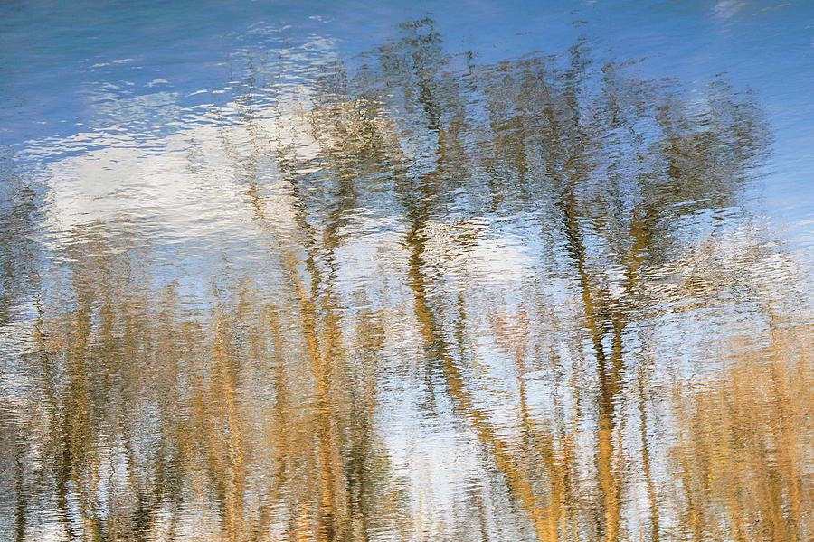 Mill Creek Reflections Photograph by Tana Reiff