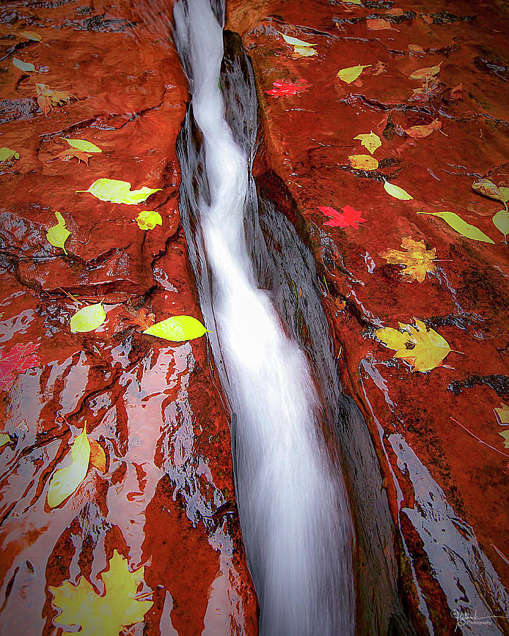 River Rock Photograph by James Zebrack - Fine Art America