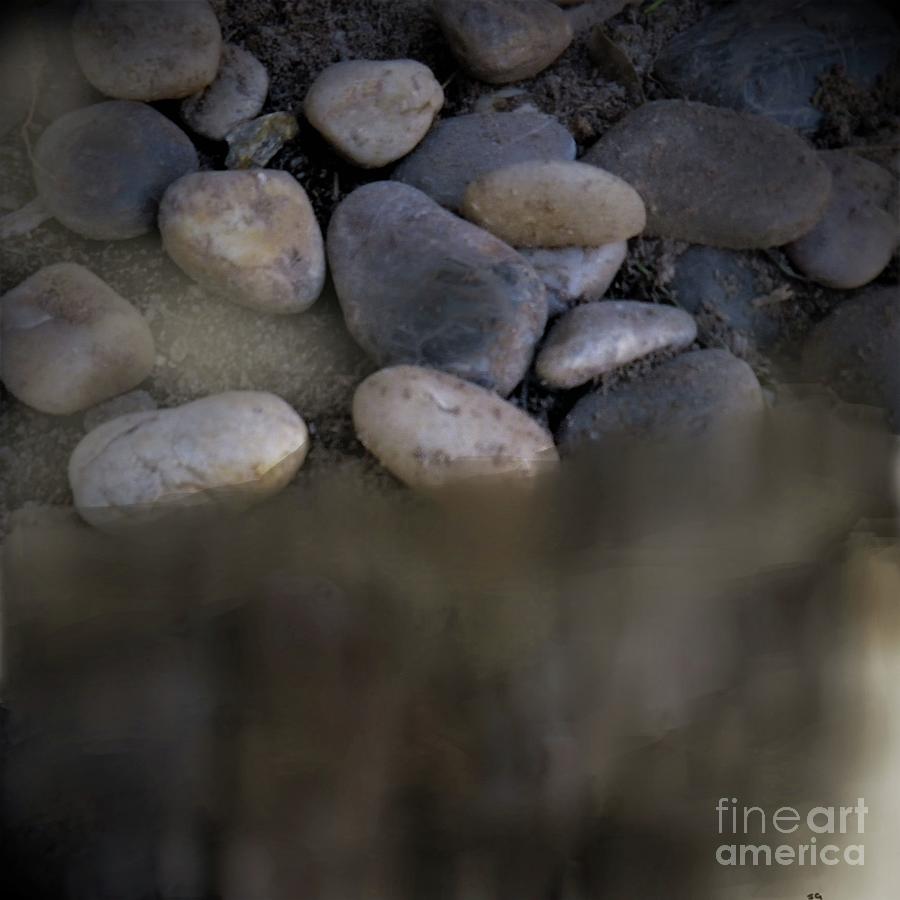 River Rocks Photograph