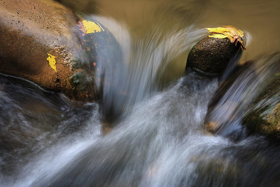 Zion National Park Photograph - River Rocks, Zion National Park by Peter OReilly