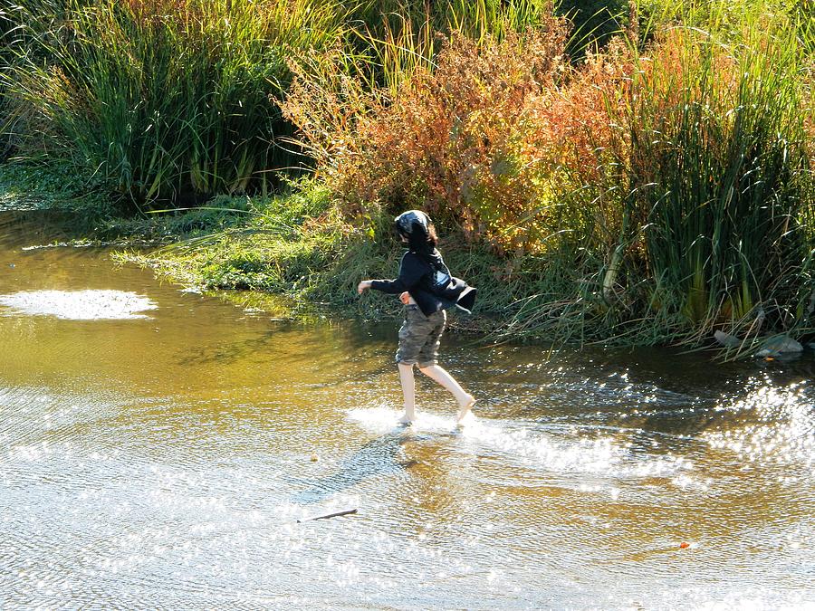 River Runner Photograph by Andrew Lawrence