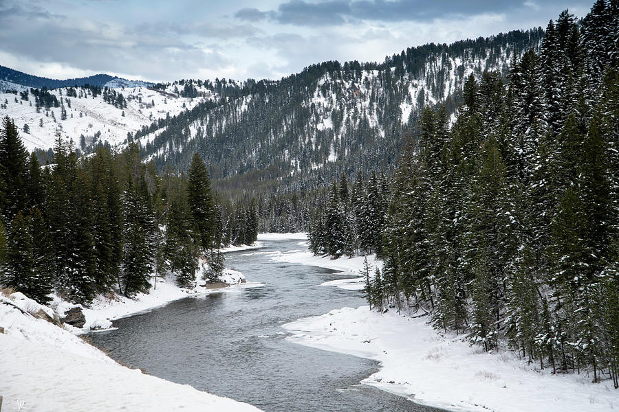 River Running Through the Trees Photograph by Shari Pederson - Fine Art ...