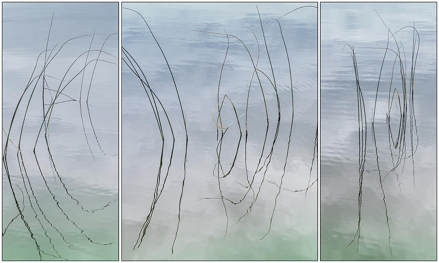River Rushes Abstract - Triptych Photograph by Patti Deters