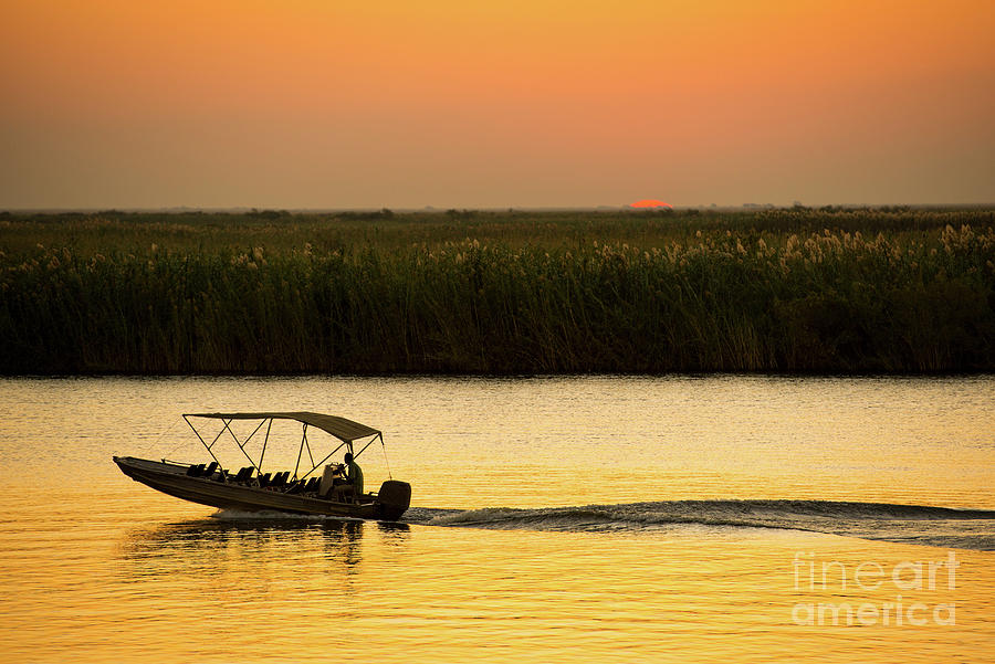 River Safari On Chobe River Photograph