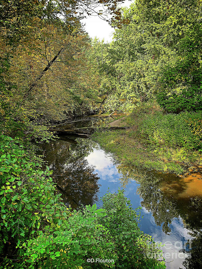 River Scene in Autumn Digital Art by Dee Flouton