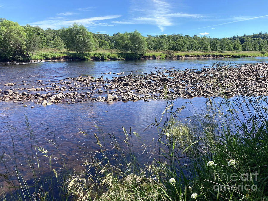 River Spey in Summer Photograph by Phil Banks