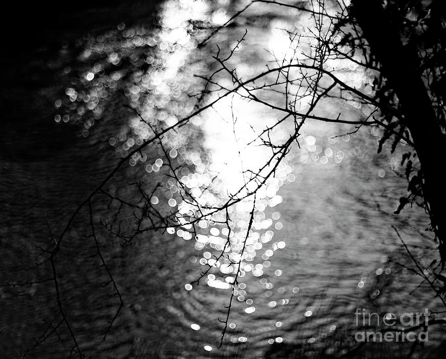 River Teifi Pool Photograph by Mark Haynes - Pixels