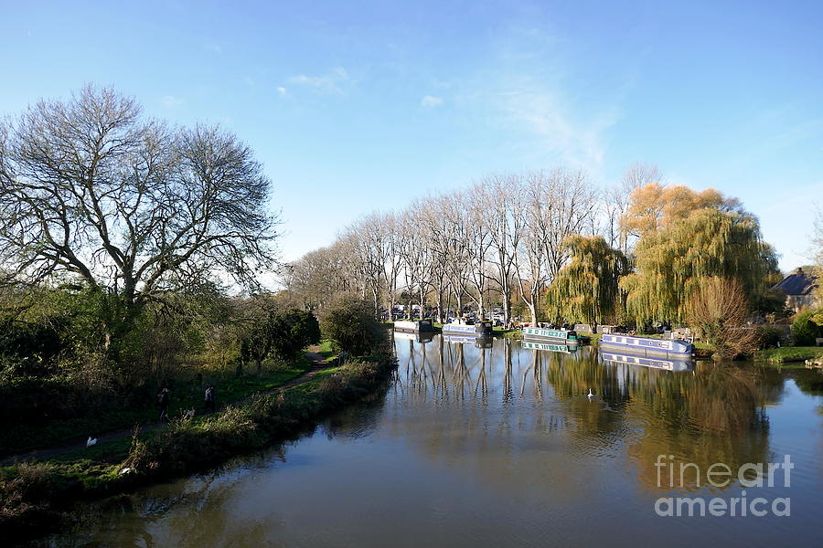 Tree Photograph - River Thames at Lechlade, paint effect by Paul Boizot