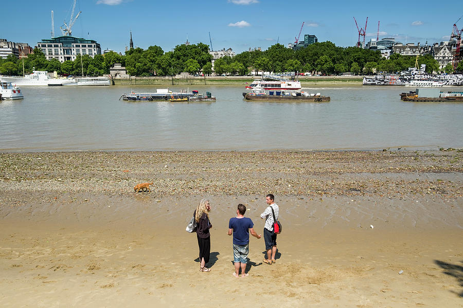 River Thames at low tide Photograph by David L Moore