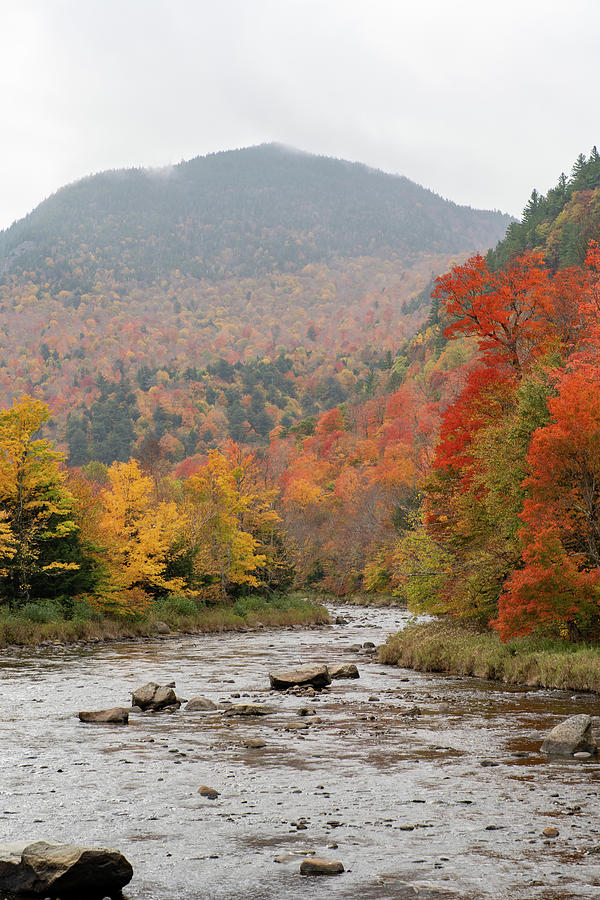 River Through The Adirondacks Photograph by Dave Niedbala