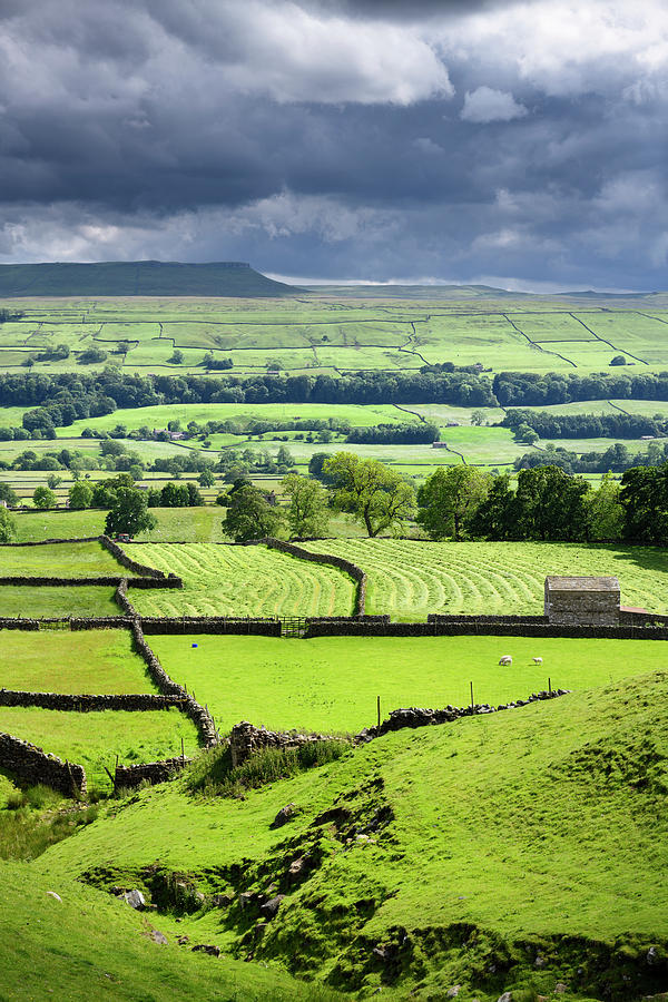 River Ure valley from Cross Top road in Wensleydale with dryston Photograph by Reimar Gaertner