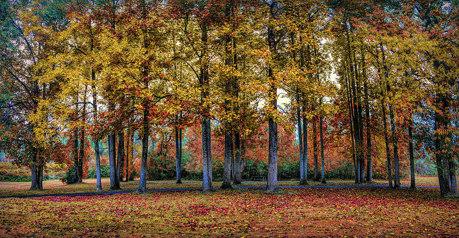 Fall Photograph - River Walk Autumn Panorama by Debra and Dave Vanderlaan