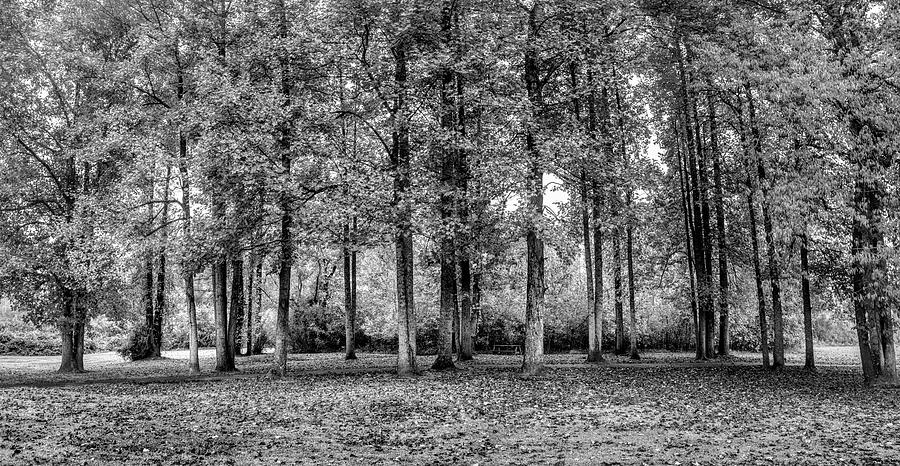 Fall Photograph - River Walk Panorama Black and White by Debra and Dave Vanderlaan