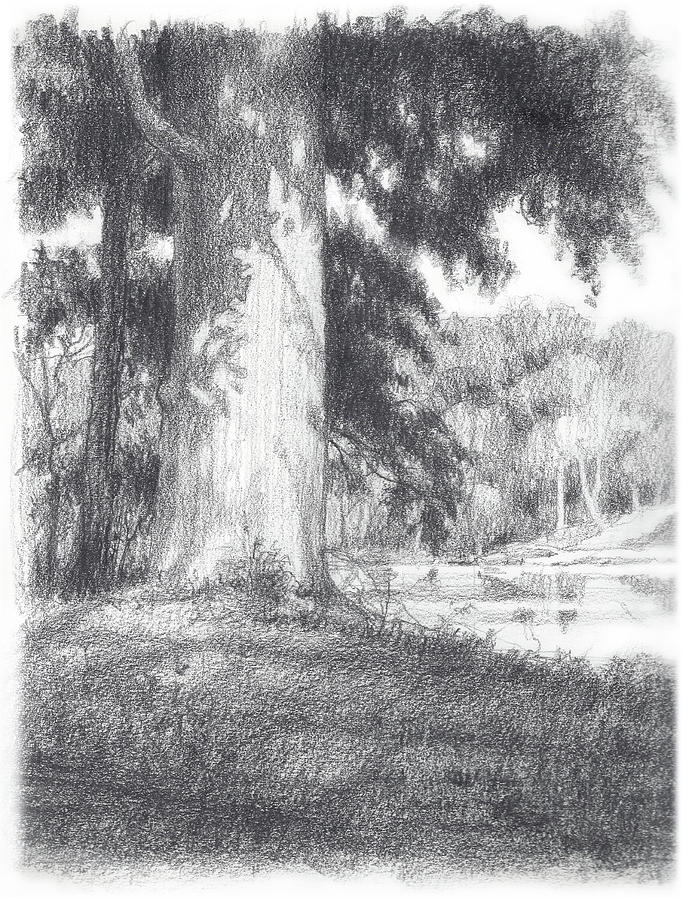 River Walk Study 1 Drawing by Todd Baxter - Fine Art America