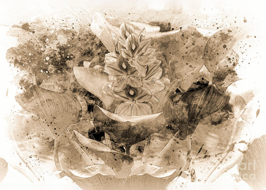 Riverbank Wildflower  - Monochrome Digital Art by Anthony Ellis