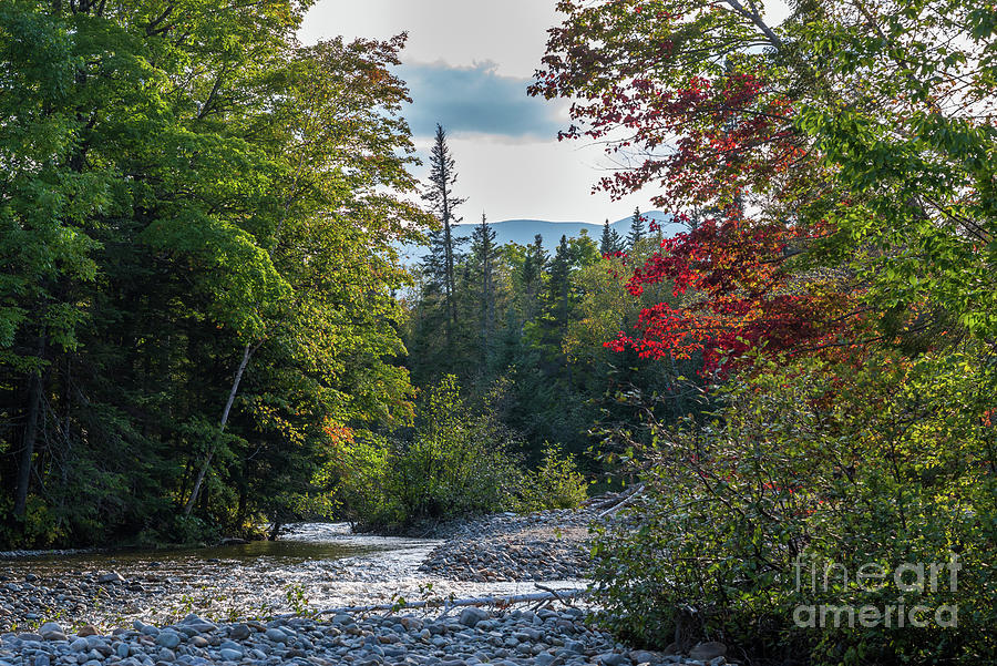 Riverbed of the Carrabassett River Photograph by Alana Ranney