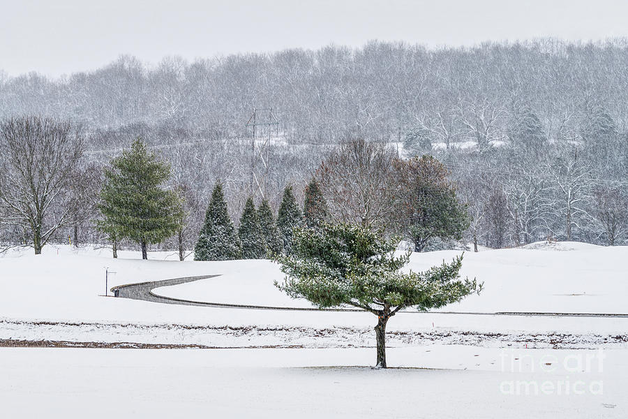 Rivercut Golf Course Snow Storm Photograph by Jennifer White