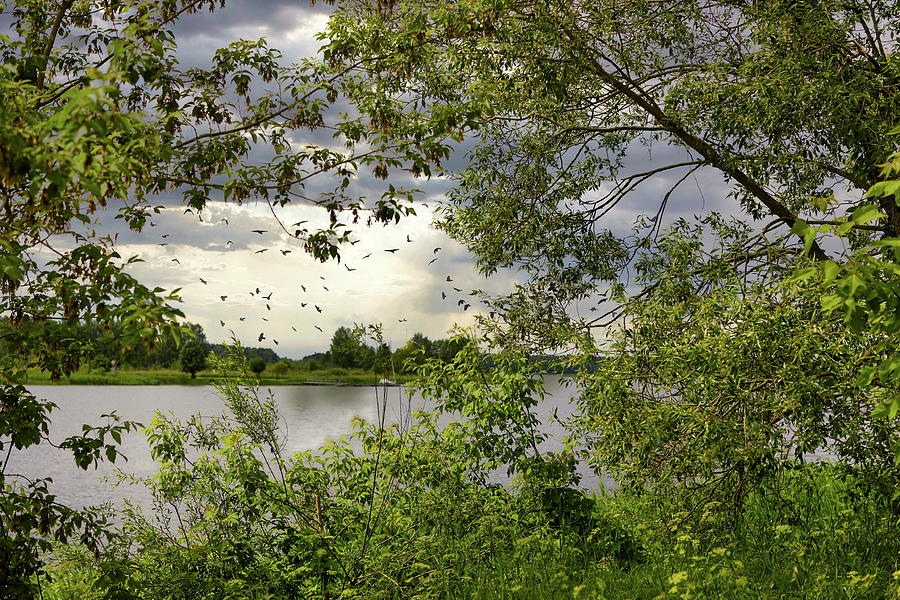Riverscape Through Nature Curtains Latvia  Photograph by Aleksandrs Drozdovs