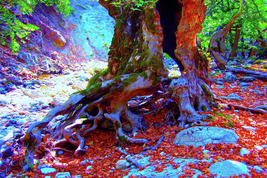 Riverscapes Samothrace Island Trees #24 Digital Art