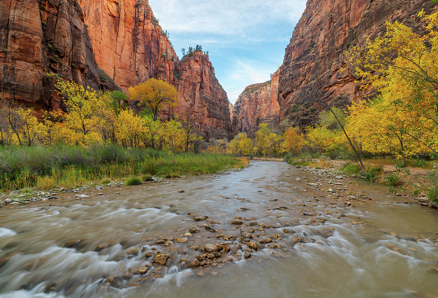 The Virgin River in the fall at Zion National Park Photograph by Mark ...