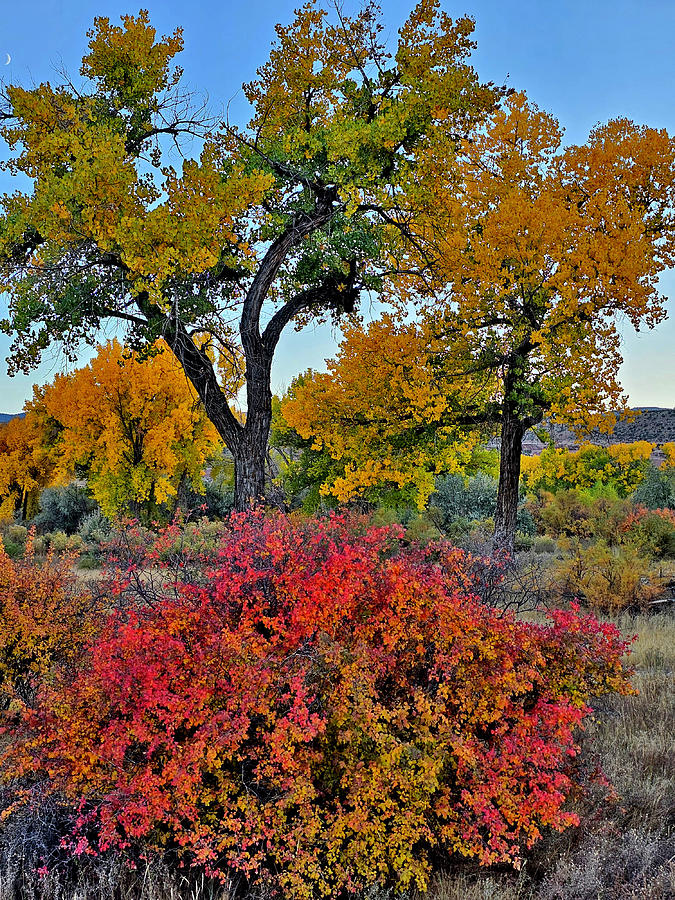 Riverside Fall Colors along I-70 Photograph by Ray Mathis