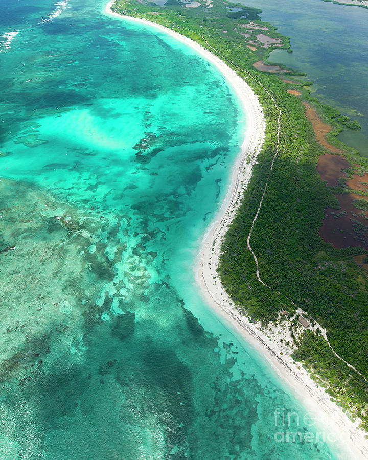 Paradise Photograph - Riviera Maya, Yucatan by Justin Foulkes