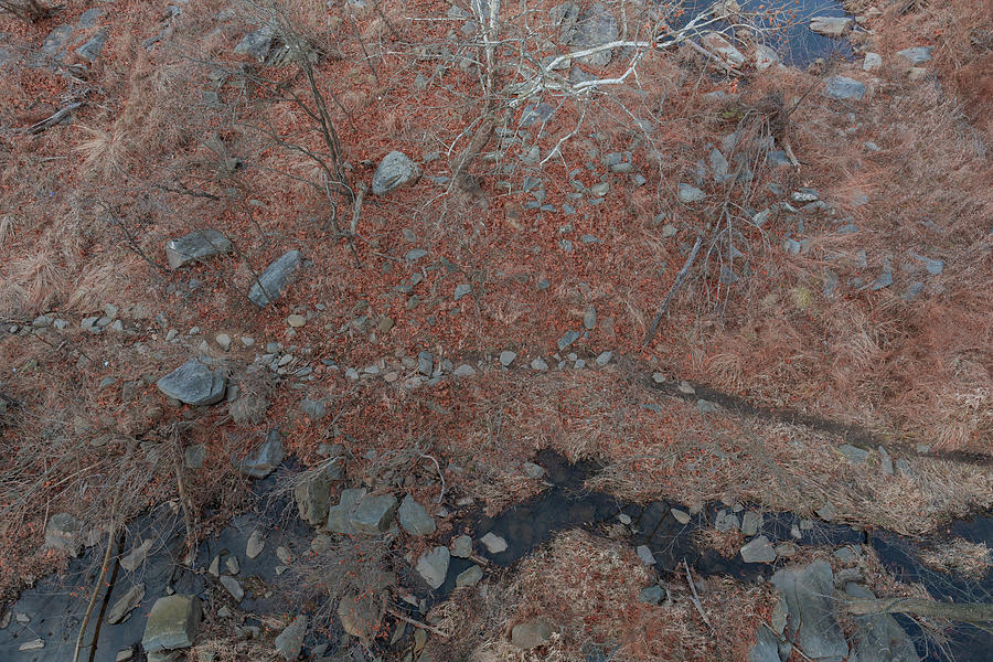 Rivulet and Footpath Photograph by Liz Albro