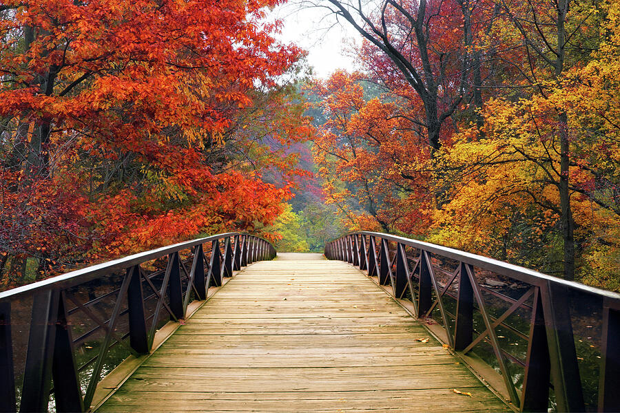 Majestic Autumn Crossing Photograph by Jessica Jenney