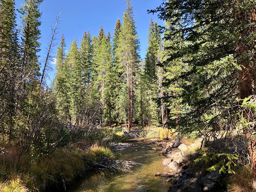 RMNP creek Photograph by Curtis Boggs - Fine Art America