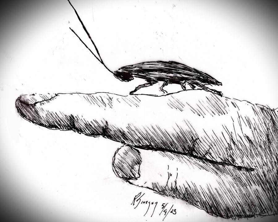 Roach Finger Walking Drawing by R  Allen Swezey