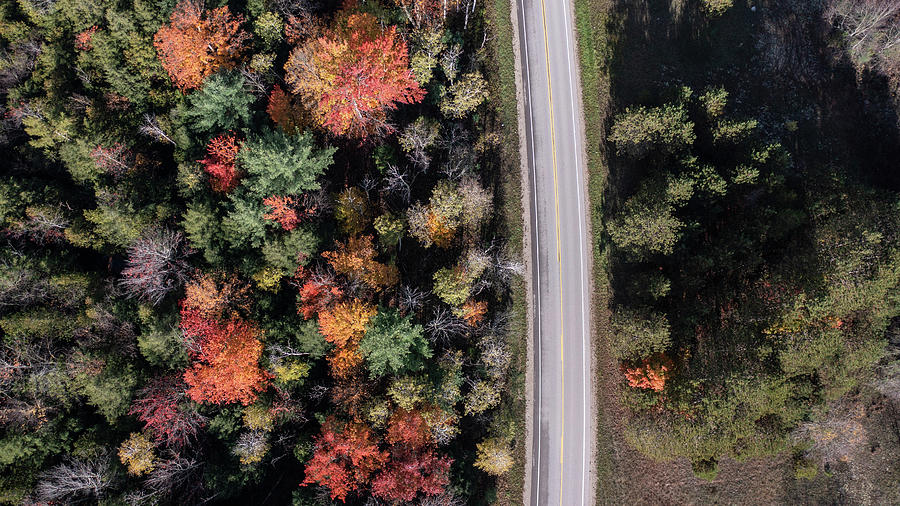 Road And Fall Colors Aerial Photograph
