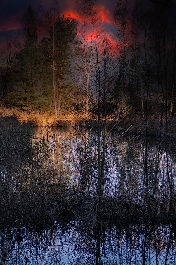 Road By The Reflection Lake At Sunset Latvia  Photograph by Aleksandrs Drozdovs
