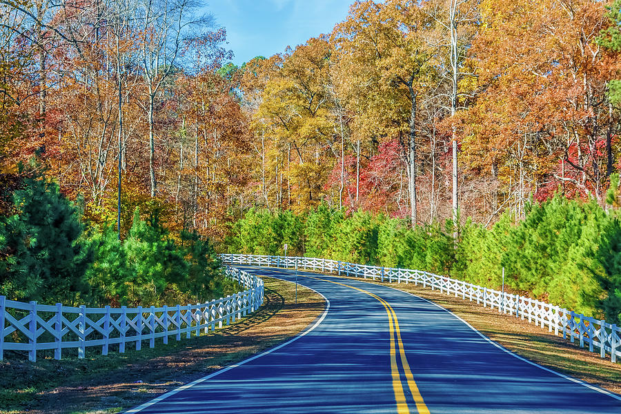 Road Curving Through Autumn Trees and White Fence Photograph by Darryl Brooks