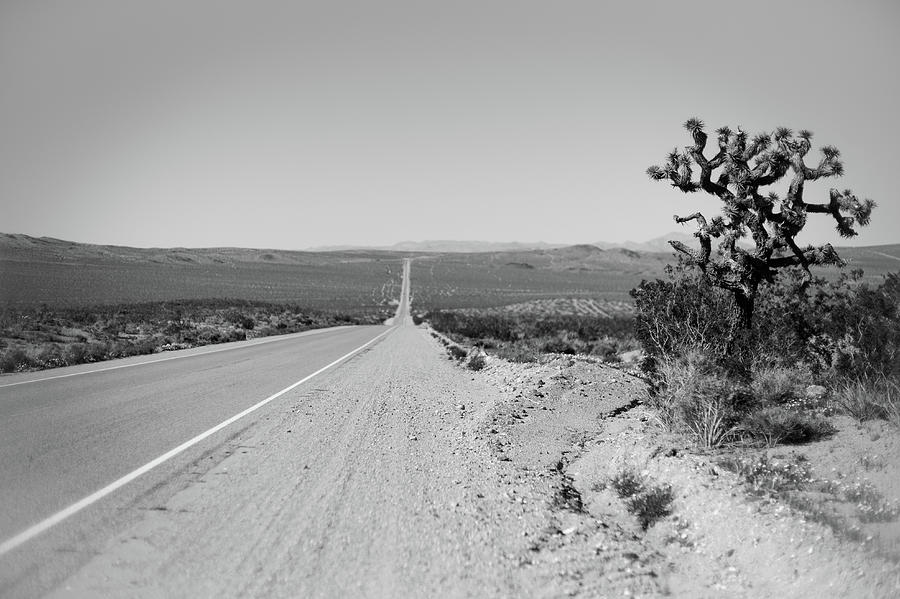 Road, Death Valley Photograph by Eugene Nikiforov