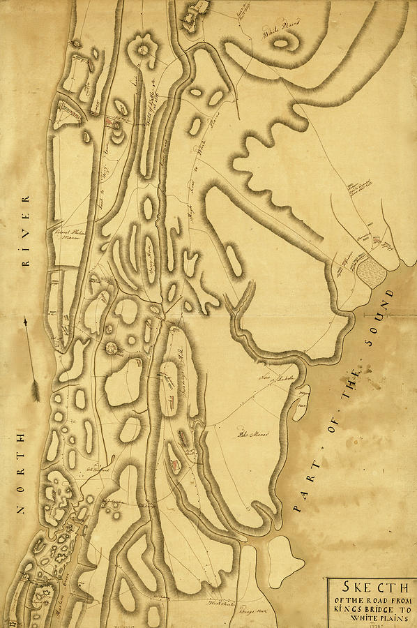 Map Drawing - Road from Kings Bridge to White Plains 1778 by Vintage Military Maps