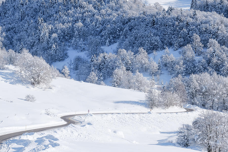 Road In The Snow Photograph by Alberto Zanoni