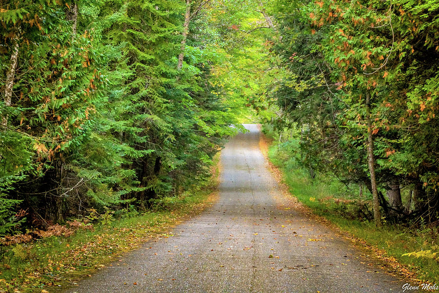 Road in the woods Photograph by GLENN Mohs