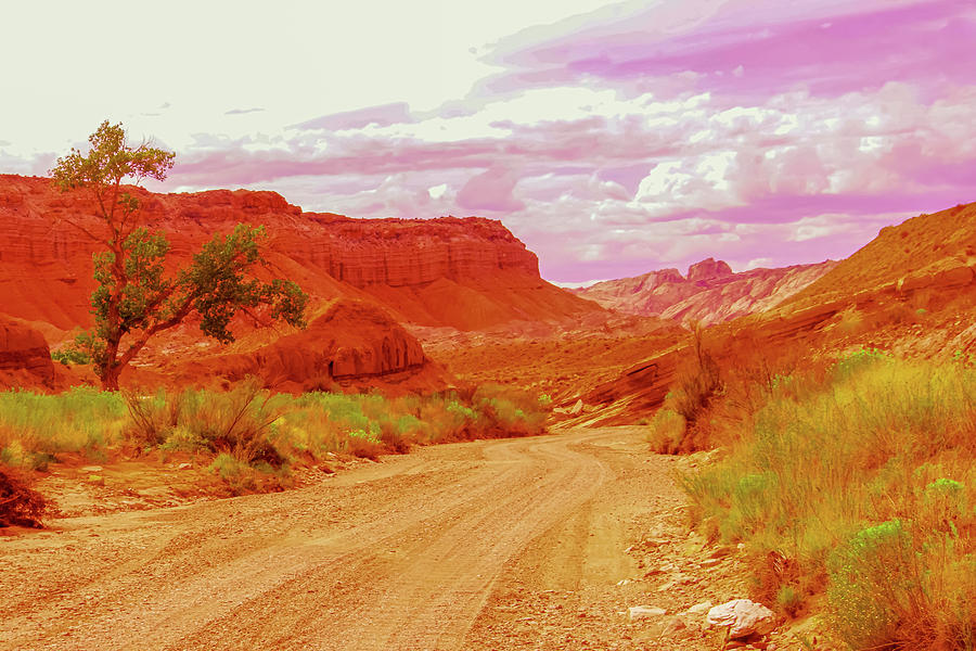 Road into a canyon  Photograph by Jeff Swan