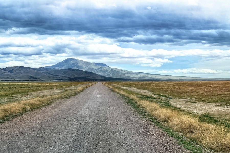 Road Into the Desert Photograph by Fon Denton