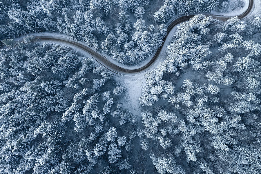 Road Leading Through The Winter Forest Photograph by Borchee