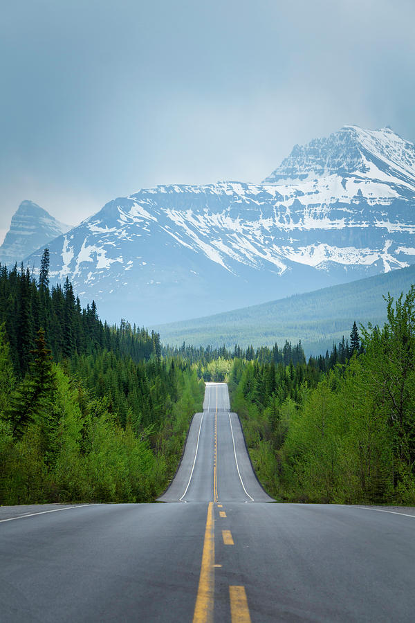 Road lined with trees leading to high rocky mountains Photograph by Rick Deacon