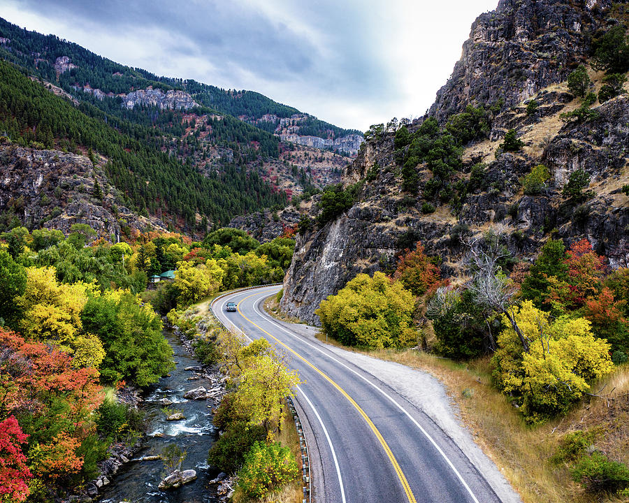 Road Logan Canyon Fall Photograph by William Phelps
