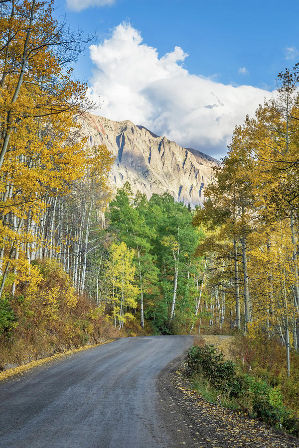 Road of Beauty Photograph by Jack Clutter - Fine Art America