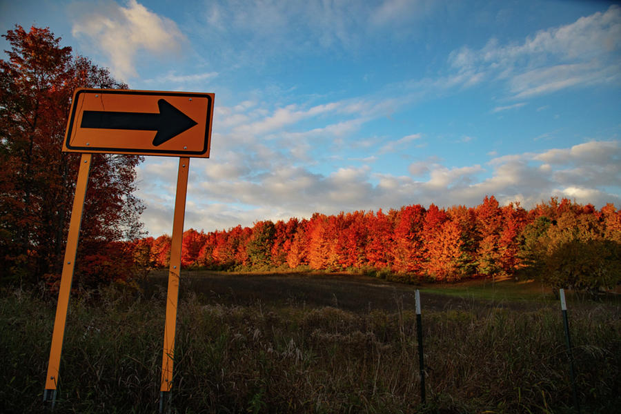 Road sign with fall colors in northern Michigan Photograph by Eldon McGraw