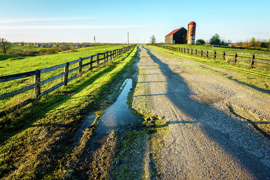 Road through a farm Photograph by Alexey Stiop