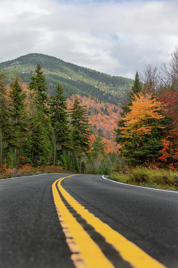 Road through the Adirondacks Photograph by Dave Niedbala